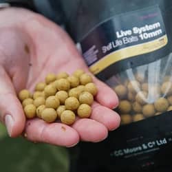 Win 10kg CC Moore Live System Boilies from AD Win - 2p entry