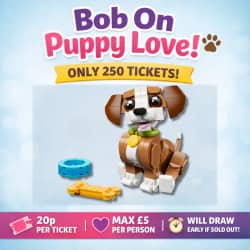 Win Win the LEGO® Creator 3-in-1 Playful Puppy - (31382) from Bob On Comps - 20p entry