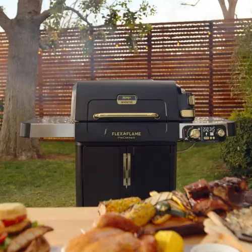 Ninja Flex Flame BBQ