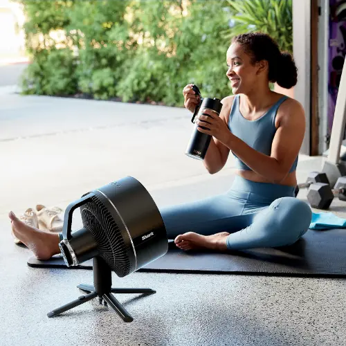 Shark FlexBreeze Portable Fan